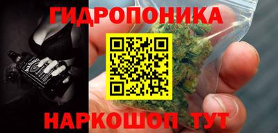 гидра Камышлов