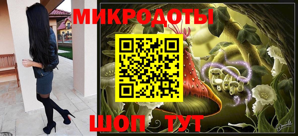 Котлас  Галлюциногенные грибы ЛСД  Вход с VPN 