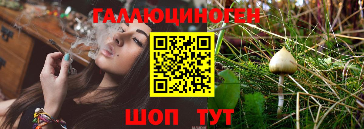 Галлюциногенные грибы мицелий Котлас